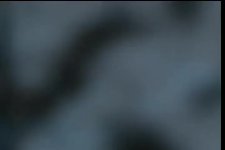 [Tsukyio Editing Resources] Hellsing (Episode 13) Raw Clips (199) (tsukyio.com).mp4